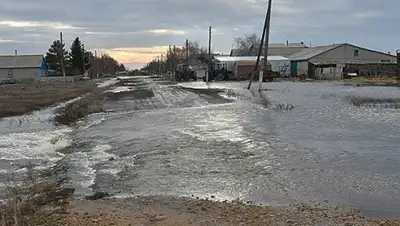 Zakon.kz, фото - Новости Zakon.kz от 01.04.2017 18:48