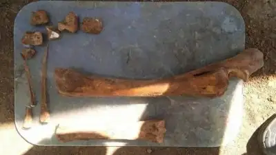 Zakon.kz, фото - Новости Zakon.kz от 15.05.2017 18:37