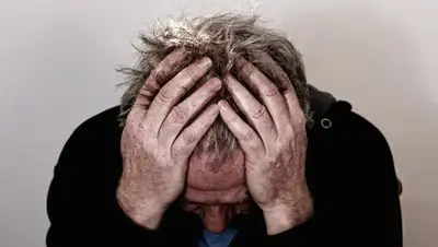 pixabay.com, фото - Новости Zakon.kz от 13.10.2019 18:23