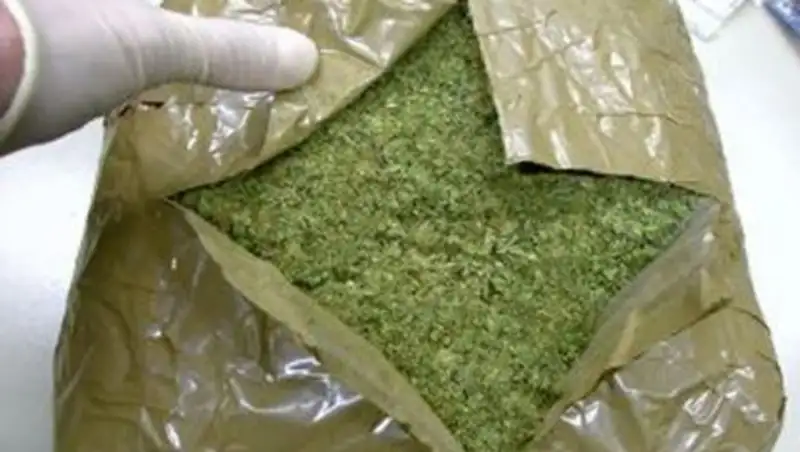 К&#1257;лік са&#1179;шылары Ш&#1178;О т&#1201;р&#1171;ынынан аса ірі к&#1257;лемдегі есірткі заттарын т&#1241;ркіледі