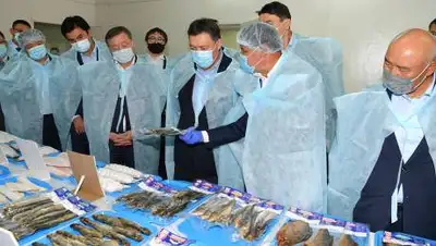 Primeminister.kz, фото - Новости Zakon.kz от 24.09.2020 20:14