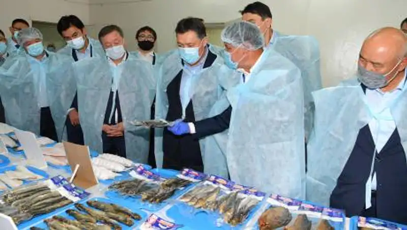 Аскар Мамин провел семинар-совещание по развитию рыбной отрасли страны