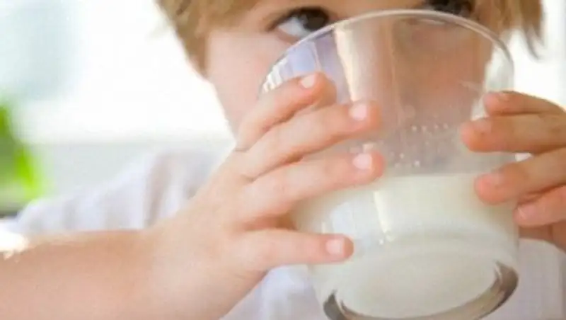 Казахстан разрешил семи компаниям Кыргызстана экспорт молока