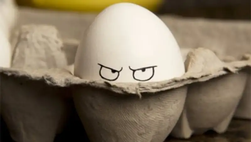 "Селфи" яйца-блогера бьет рекорды по лайкам