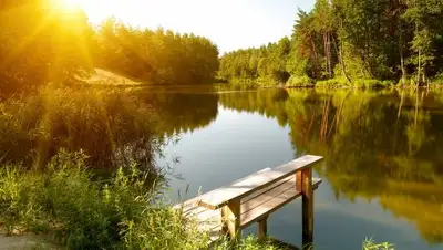 Zakon.kz, фото - Новости Zakon.kz от 05.07.2017 20:34