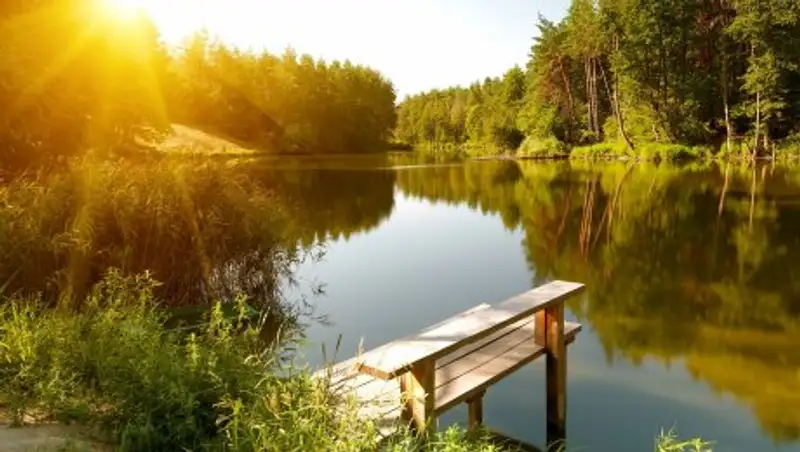 Прогноз погоды на выходные: жара на юге не спадет, на севере ожидаются дожди и грозы