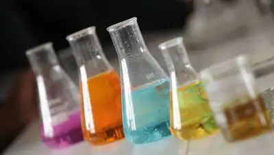 pixabay.com, фото - Новости Zakon.kz от 12.05.2021 19:28