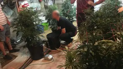 КНБ РК, фото - Новости Zakon.kz от 08.06.2020 12:37