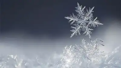 Zakon.kz, фото - Новости Zakon.kz от 07.02.2014 14:43