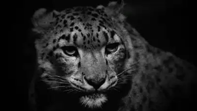 pixabay.com, фото - Новости Zakon.kz от 27.09.2021 13:11