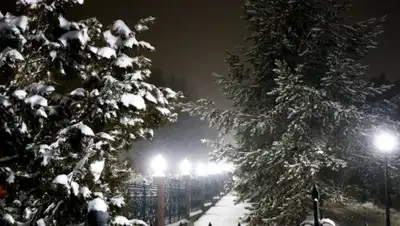 zakon.kz, фото - Новости Zakon.kz от 18.02.2019 09:27