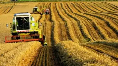 Vzglyad.az, фото - Новости Zakon.kz от 14.09.2018 11:01