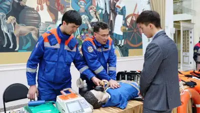 пресс-служба ДЧС Карагандинской области, фото - Новости Zakon.kz от 12.02.2020 11:12