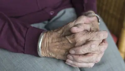 Pixabay, фото - Новости Zakon.kz от 14.12.2019 12:58