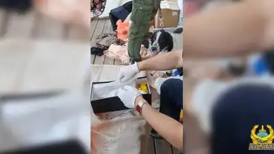 пресс-служба ДП, фото - Новости Zakon.kz от 24.09.2020 10:09