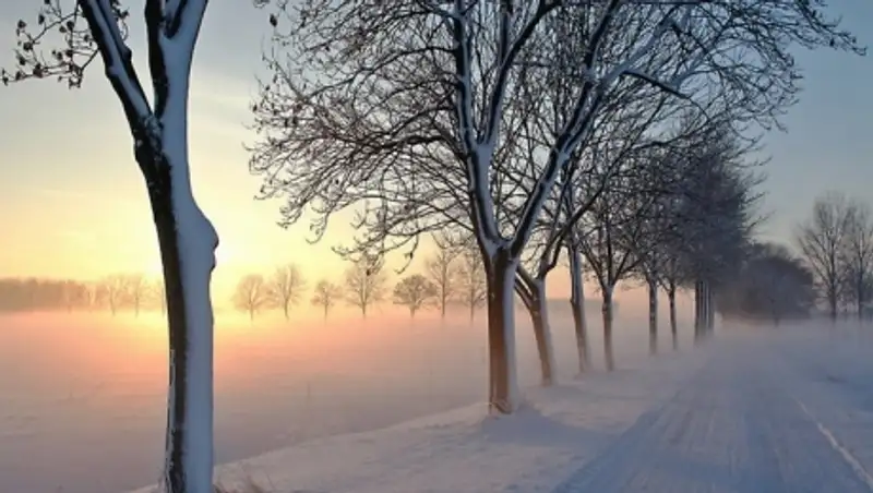 Штормовое предупреждение объявили синоптики сразу в нескольких регионах страны