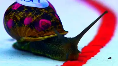 Zakon.kz, фото - Новости Zakon.kz от 18.07.2017 18:12