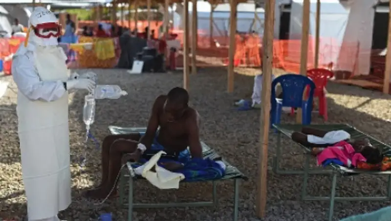 ВОЗ спрогнозировала спад эпидемии Эболы