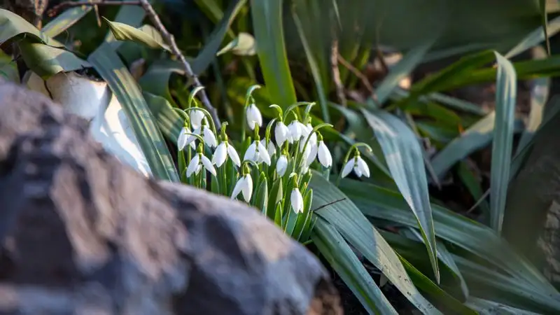 Какой будет погода в Астане, Алматы и Шымкенте 6-8 апреля