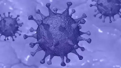 pixabay.com, фото - Новости Zakon.kz от 06.04.2020 14:24