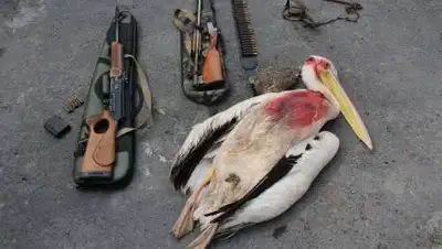 polisia.kz, фото - Новости Zakon.kz от 20.08.2021 20:10