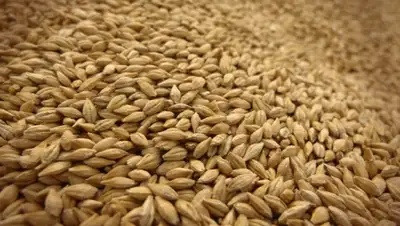 Zakon.kz, фото - Новости Zakon.kz от 28.08.2015 12:13