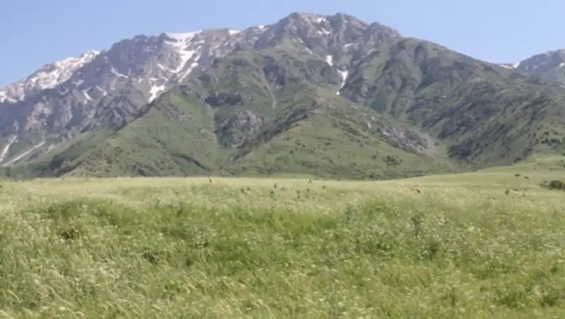 В заповедник Аксу-Жабаглы пускают не всех