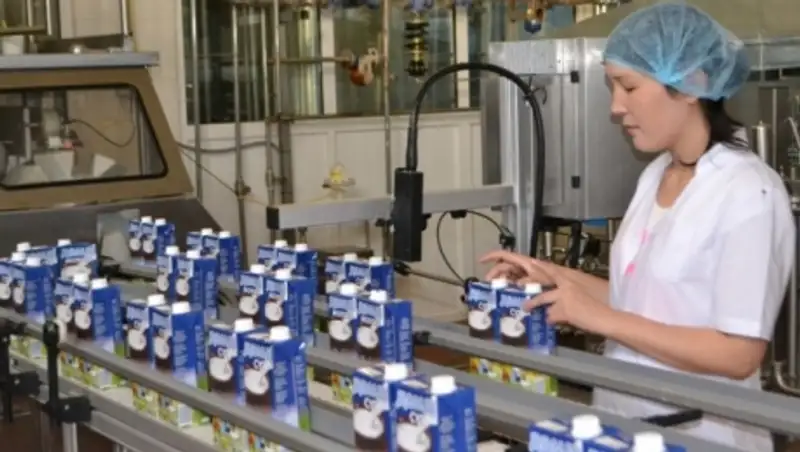 В Кызылординской области планируют экспортировать молочную продукцию