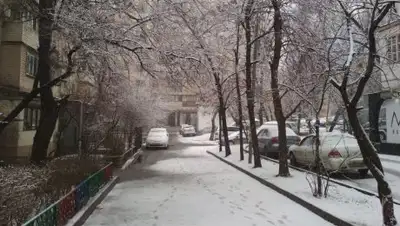 соцсети, фото - Новости Zakon.kz от 02.03.2018 09:13