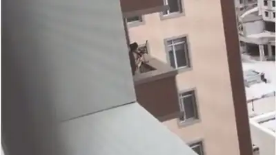 кадр видео, фото - Новости Zakon.kz от 22.03.2020 17:57