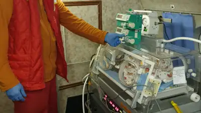 -, фото - Новости Zakon.kz от 25.11.2019 18:36