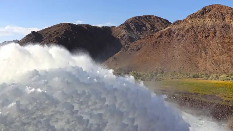 Фермеры Алматинской области рассказали об урожае