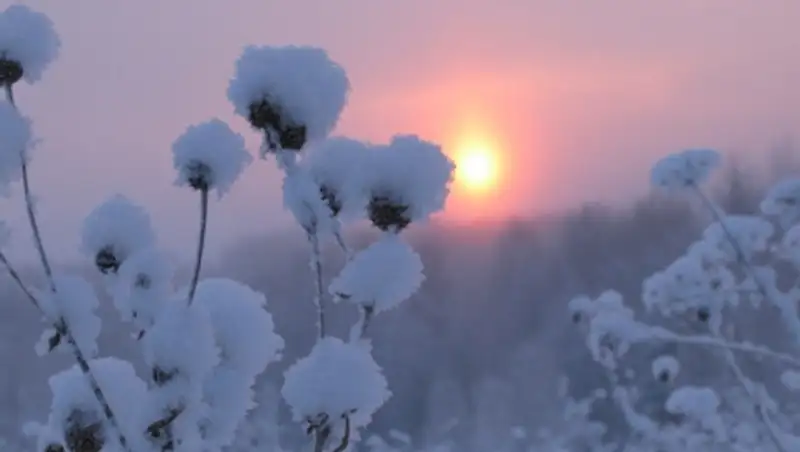 На выходных в Казахстан вернутся морозы