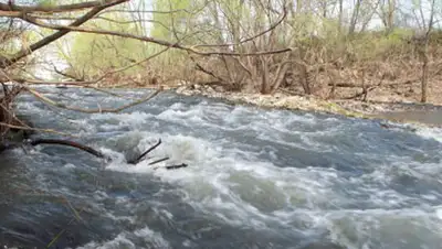 Zakon.kz, фото - Новости Zakon.kz от 29.07.2014 15:25