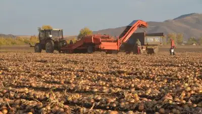 Zakon.kz, фото - Новости Zakon.kz от 24.09.2016 00:30