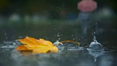 Улправда, фото - Новости Zakon.kz от 12.09.2018 09:25