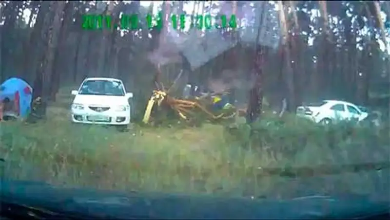 В Новосибирске упавшее дерево насмерть придавило двух 3-летних девочек-близняшек