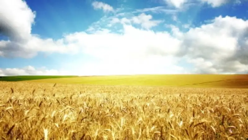 Президента РК с рабочим визитом ожидают в Акмолинской области