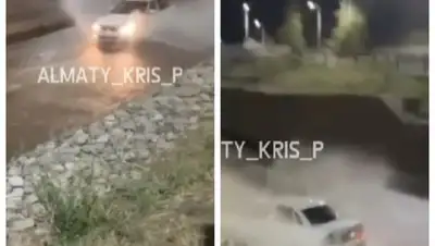 Прокатившегося по алматинской Весновке водителя ищет полиция, фото - Новости Zakon.kz от 02.08.2022 11:32