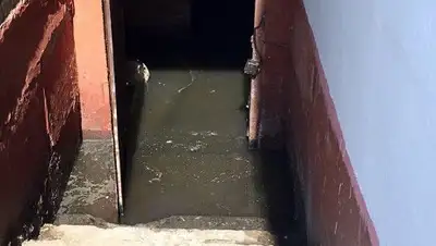 Zakon.kz, фото - Новости Zakon.kz от 04.08.2016 15:20