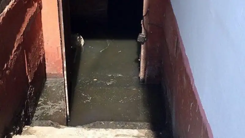 А&#1179;т&#1257;бедегі к&#1257;п&#1179;абатты &#1199;йді&#1187; т&#1201;р&#1171;ындары к&#1241;різ суыны&#1187; ортасында &#1179;алды