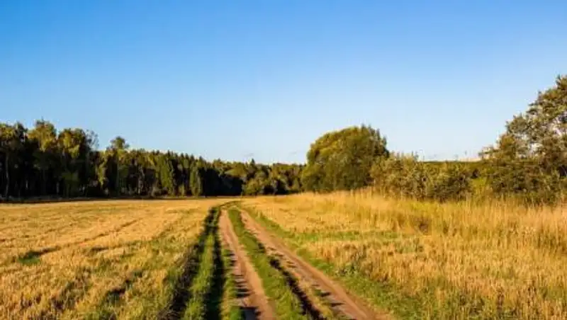 Дома пустеют - село в ВКО может стать заброшенным
