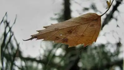 Zakon.kz, фото - Новости Zakon.kz от 16.09.2015 12:07