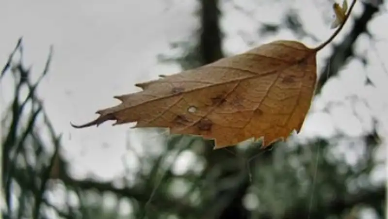 В Казахстане сохраняется погода без осадков