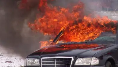 pixabay.com, фото - Новости Zakon.kz от 24.10.2019 14:55