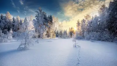 Zakon.kz, фото - Новости Zakon.kz от 31.01.2015 21:25