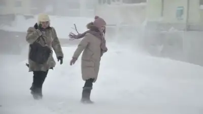 Zakon.kz, фото - Новости Zakon.kz от 09.02.2016 03:13