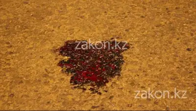 Zakon.kz, фото - Новости Zakon.kz от 16.02.2015 18:04