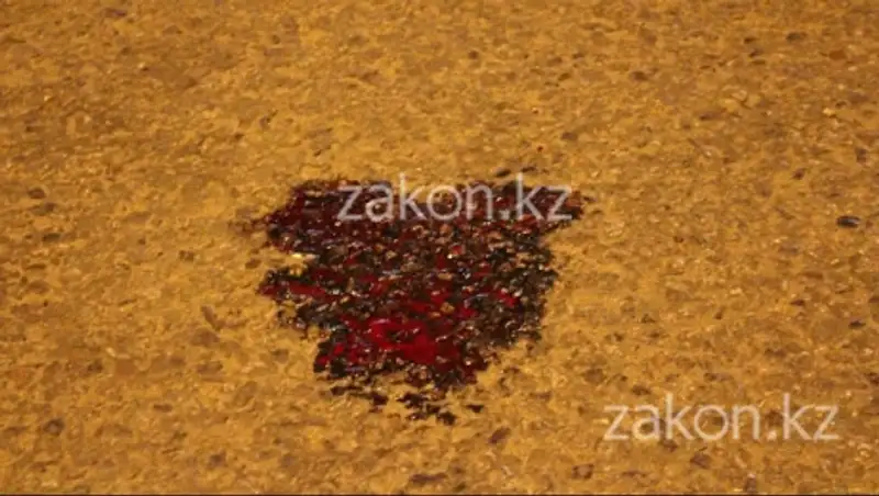 В Алматинской области задержан житель ВКО, на грузовике сбивший женщину насмерть