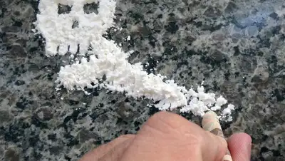 Алматинские полицейские изъяли партию, фото - Новости Zakon.kz от 17.11.2022 19:04